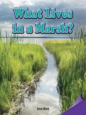 cover image of What Lives in a Marsh?